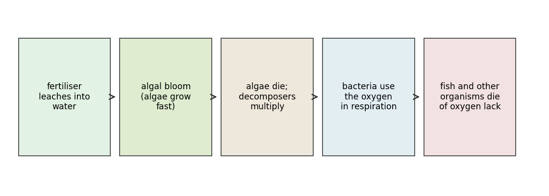The eutrophication sequence from leached fertiliser to oxygen-starved fish.