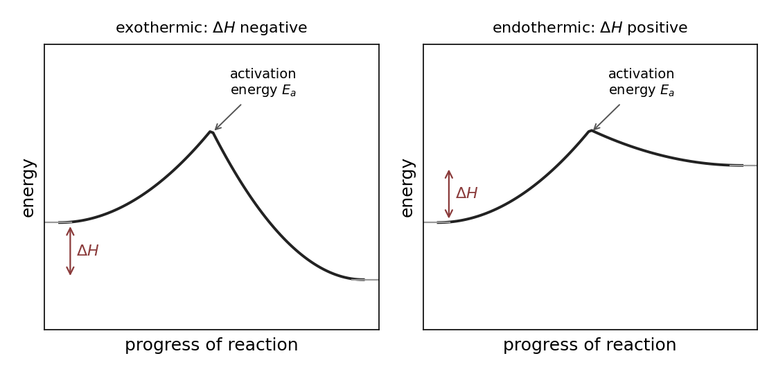 Energy profiles: exothermic (products below reactants) and endothermic (products above), each with its activation energy.
