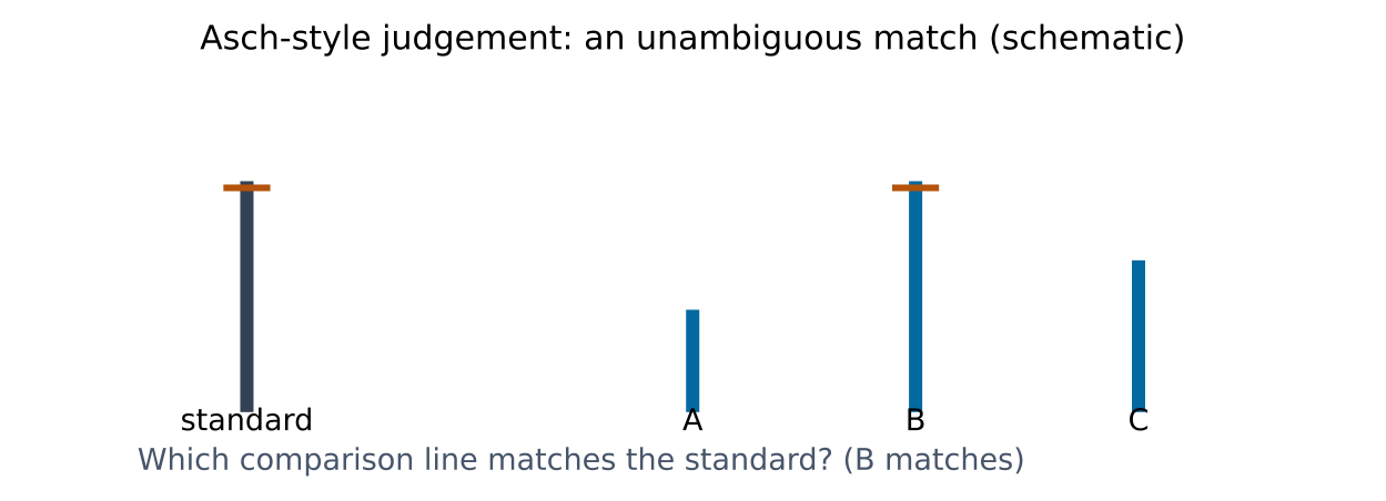 Original schematic for Social cognition, attribution and social influence. Illustrative relationships and numbers are not research results.