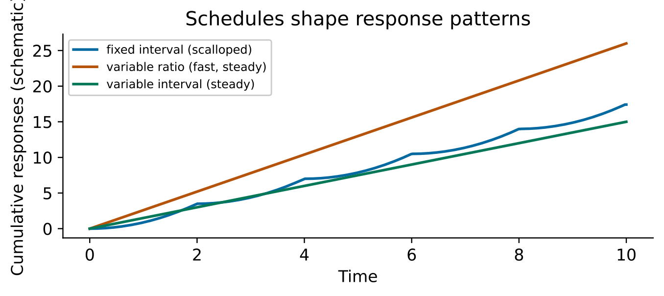 Original schematic for Conditioning, reinforcement and observational learning. Illustrative relationships and numbers are not research results.