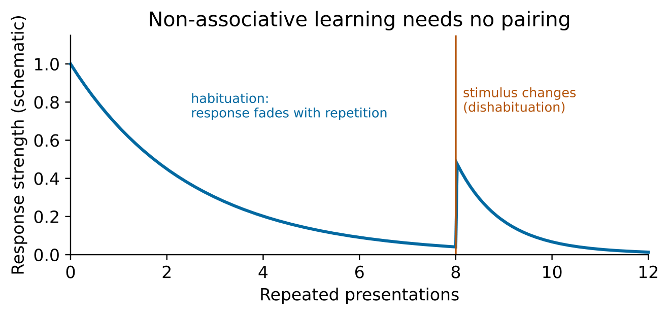 Original schematic for Attention limits and non-associative learning. Illustrative relationships and numbers are not research results.