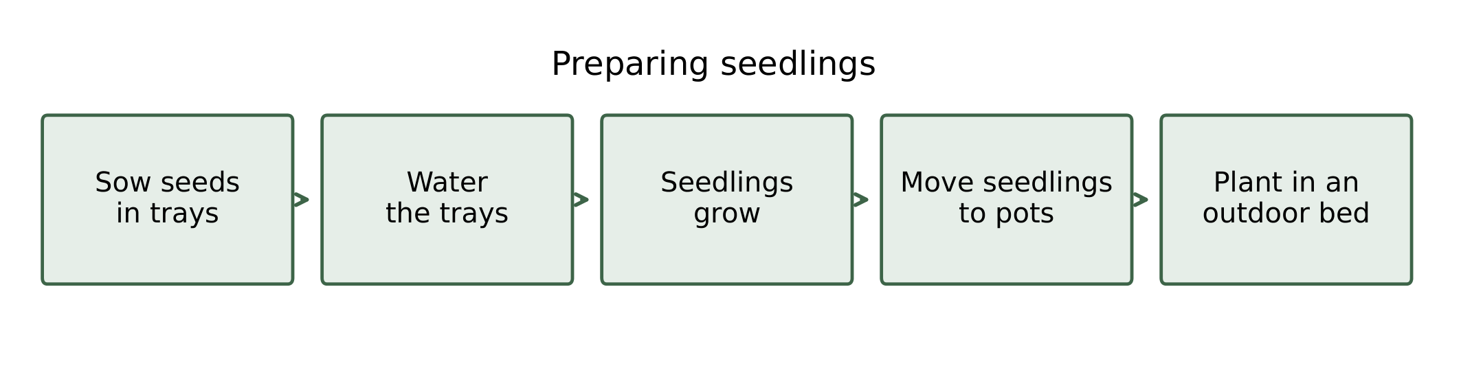 Five stages of preparing seedlings