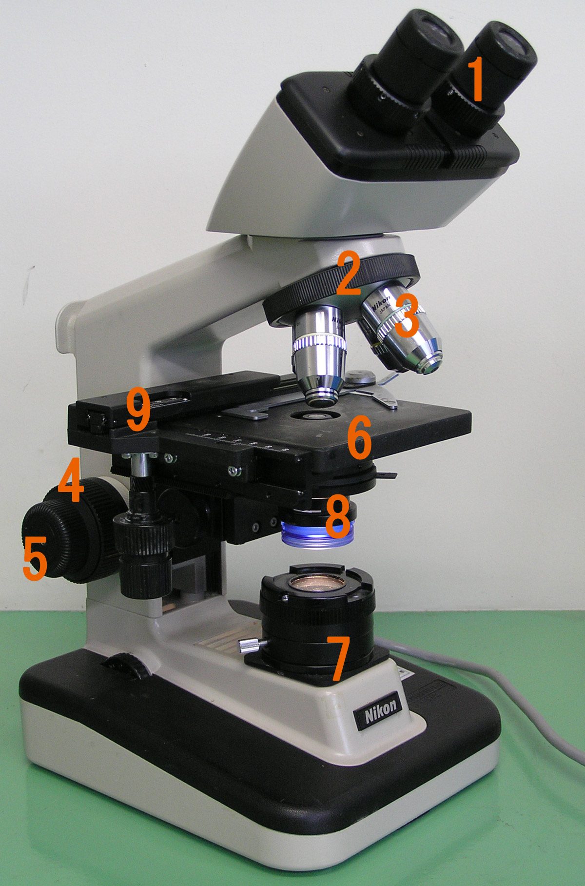 A light microscope, used to look at cells