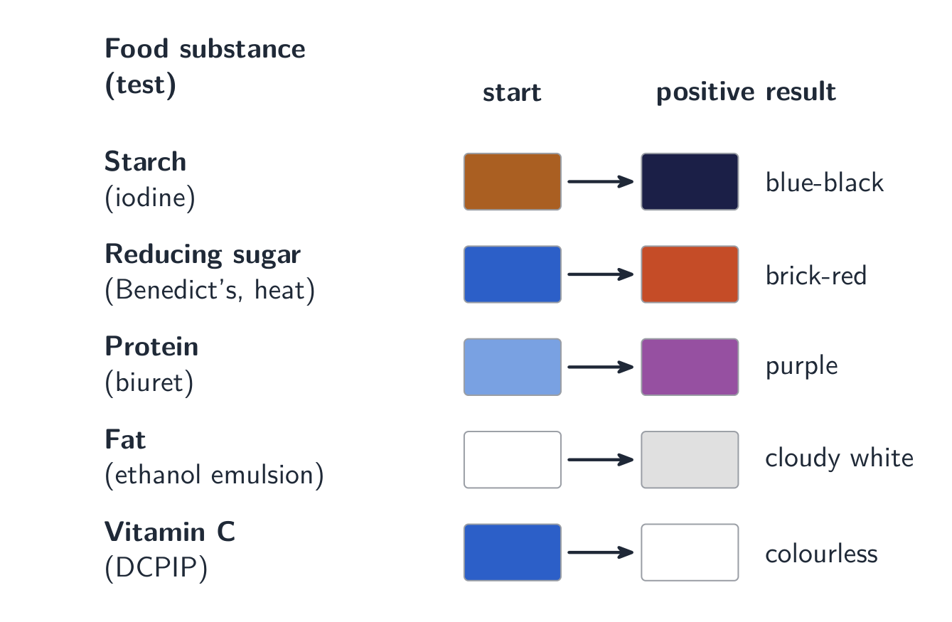 Each food test gives its own colour change for a positive result