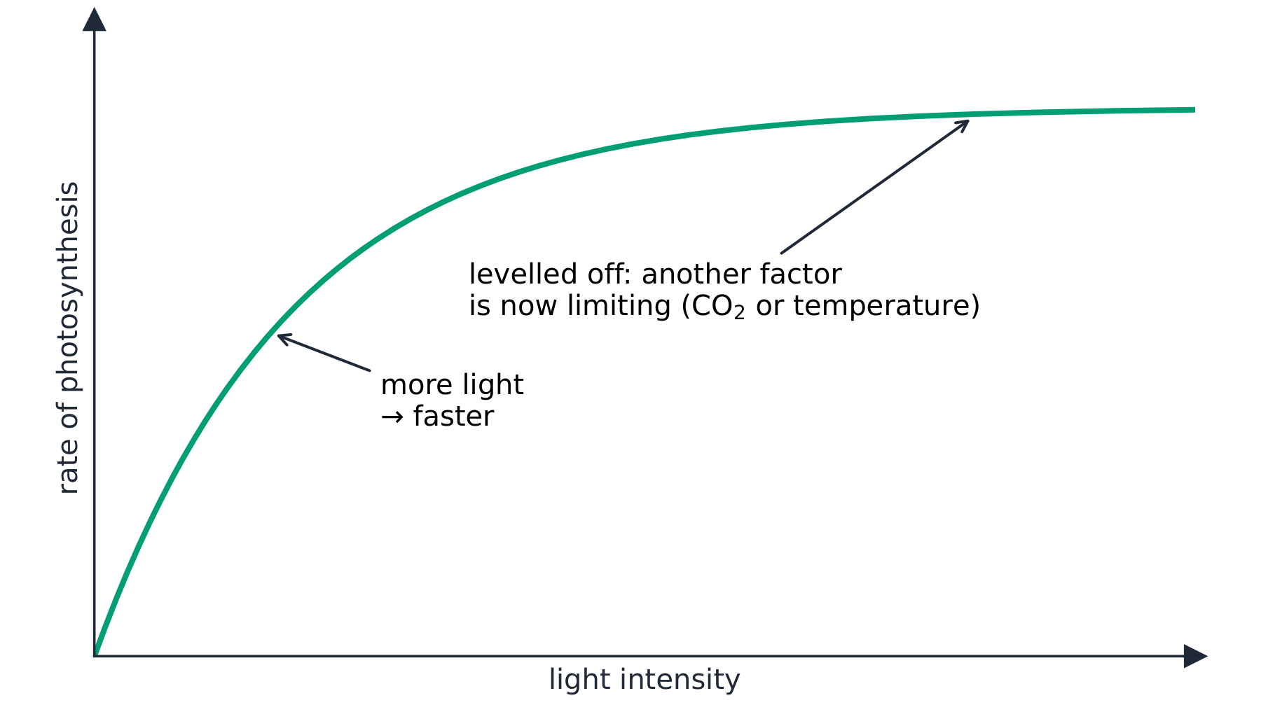 A graph of rate of photosynthesis against light intensity: the rate rises with more light, then levels off when another factor becomes limiting