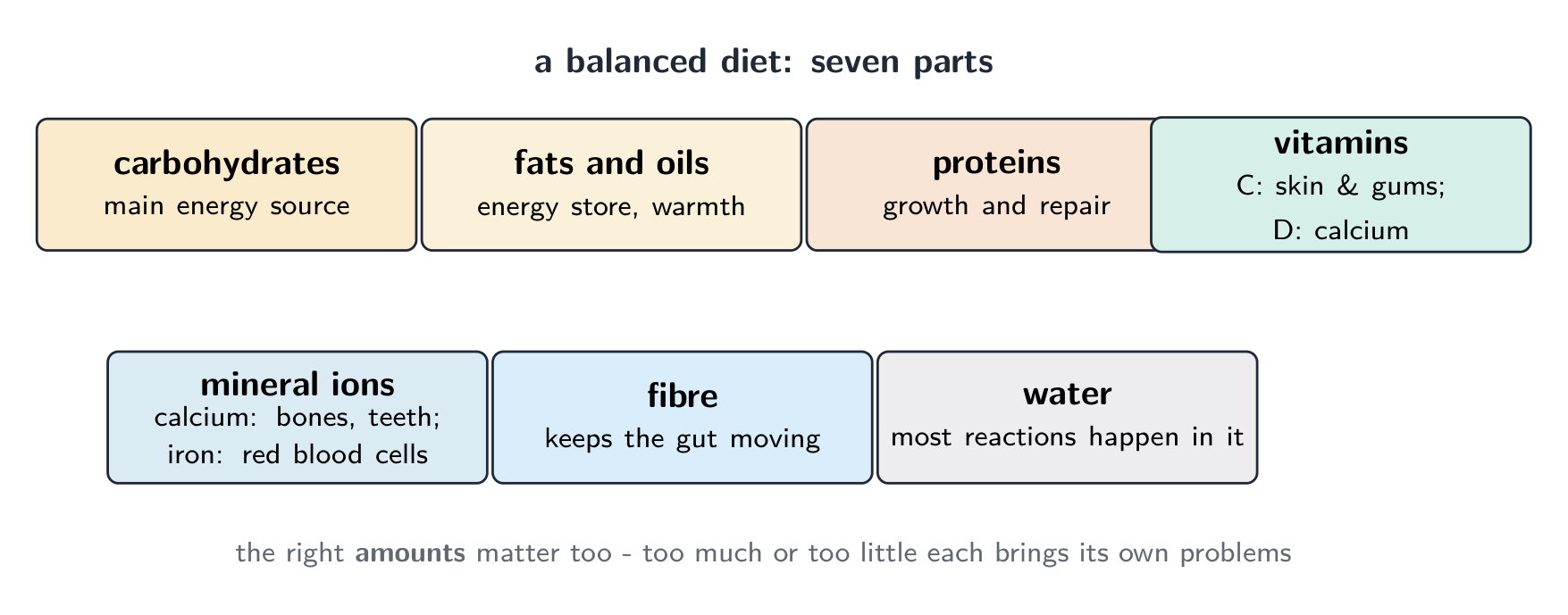 Les sept parties d'un régime équilibré, chacune avec son rôle : glucides pour l'énergie, lipides pour un réservoir d'énergie, protéines pour la croissance et la réparation, vitamines, ions minéraux, fibres et eau