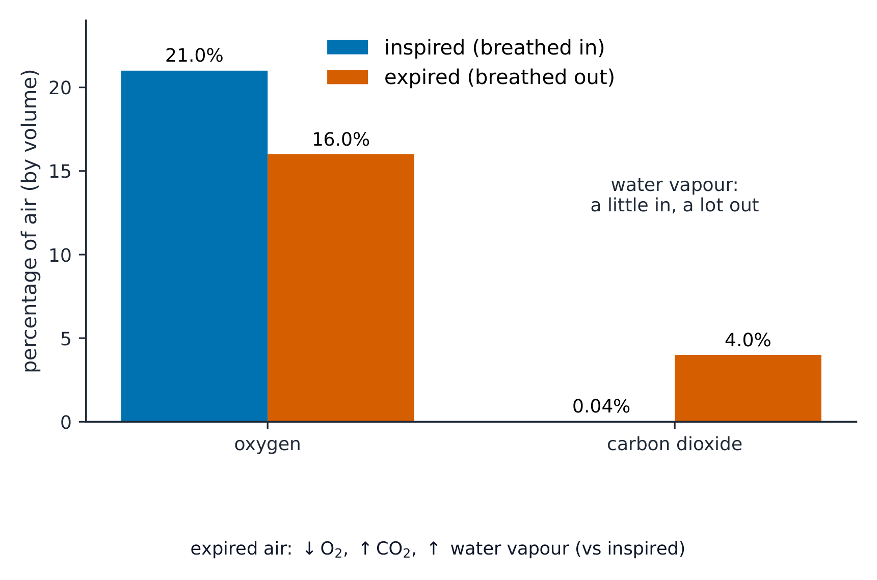 Expired air has less oxygen and much more carbon dioxide than inspired air