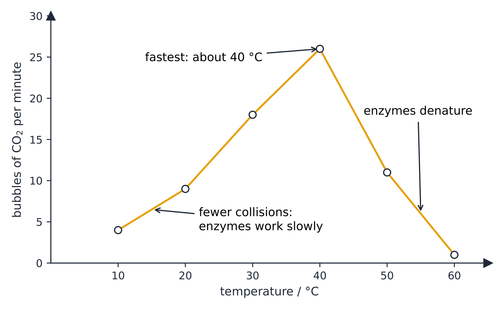 A line graph of bubbles per minute against temperature: 4 at 10 degrees, 9 at 20, 18 at 30, a peak of 26 at 40, then 11 at 50 and 1 at 60