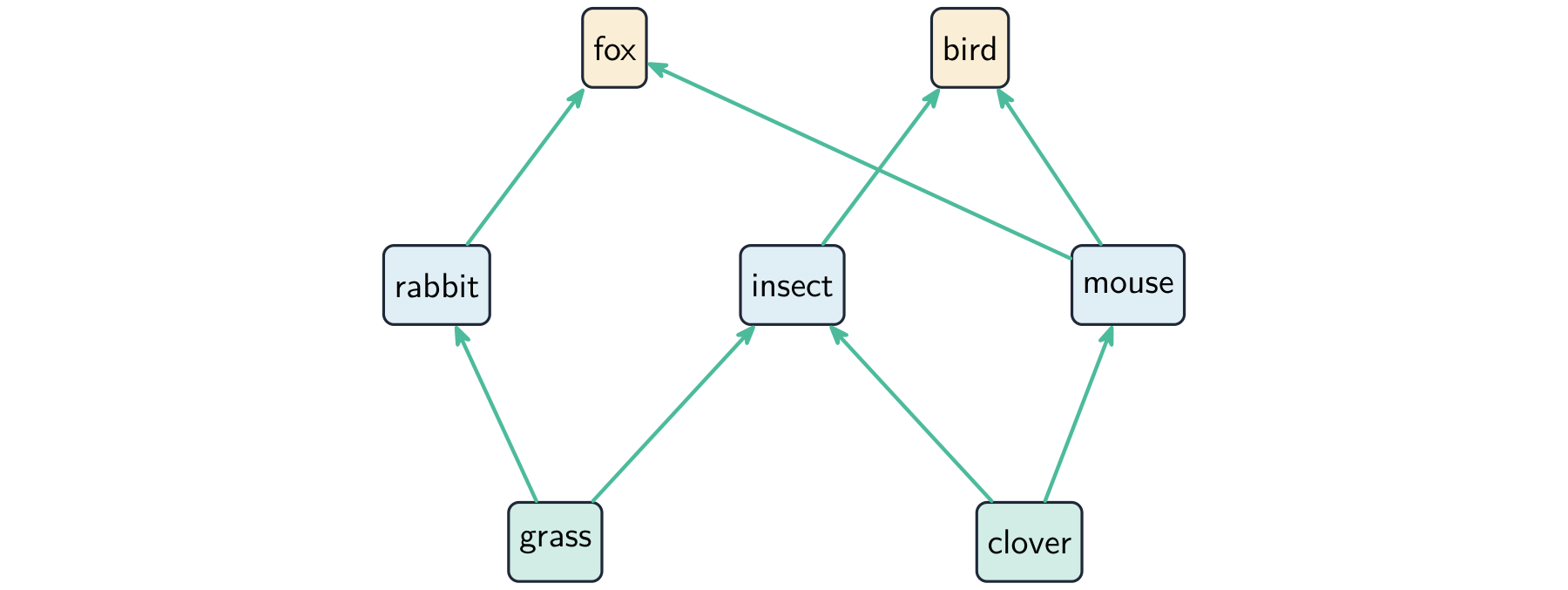 A food web: grass and clover are eaten by a rabbit, insect and mouse, which are in turn eaten by a fox and a bird, with arrows showing the energy flow