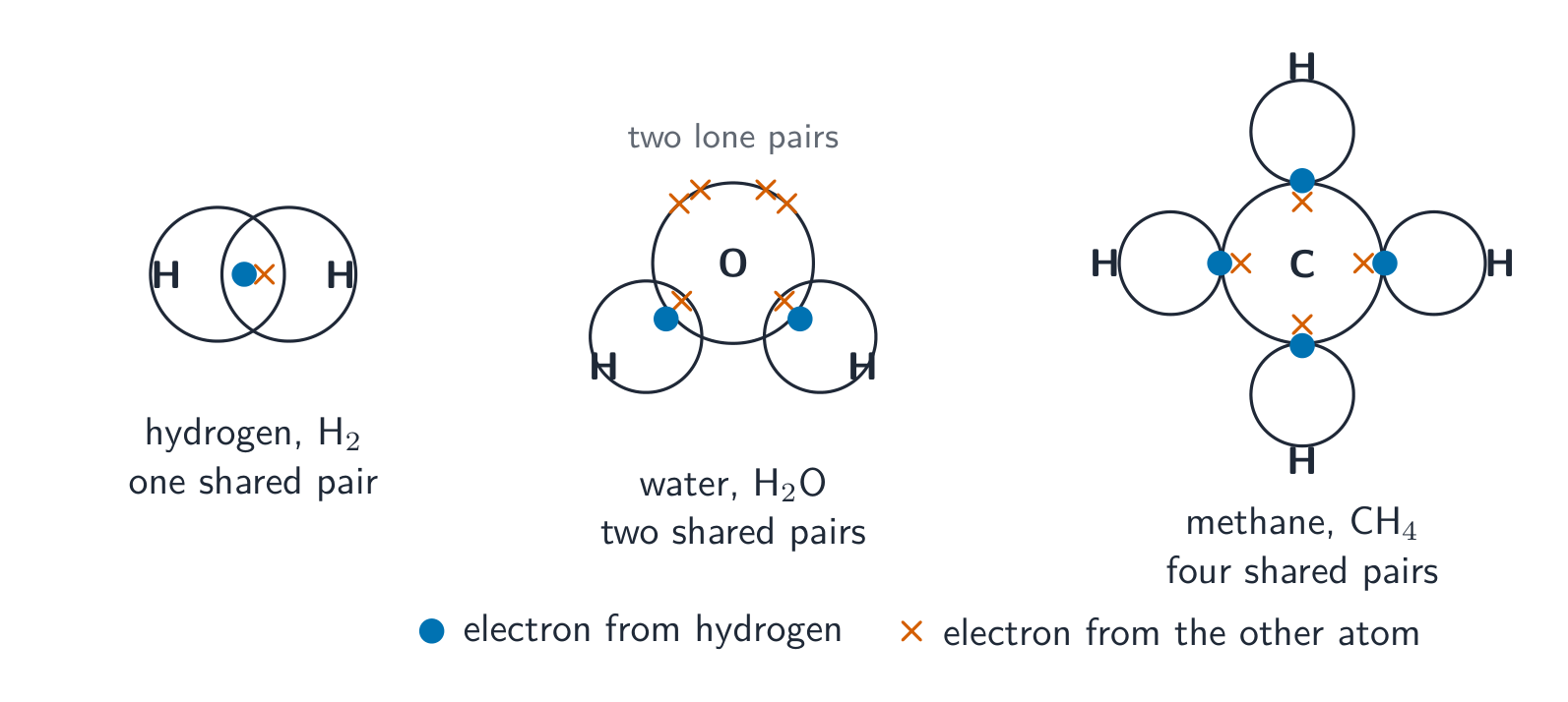 Dot-and-cross diagrams for hydrogen (one shared pair), water (two shared pairs and lone pairs) and methane (four shared pairs)