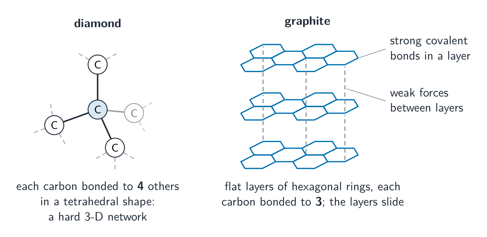 Diamond with each carbon bonded to four others in a network, beside graphite's flat hexagonal layers held by weak forces