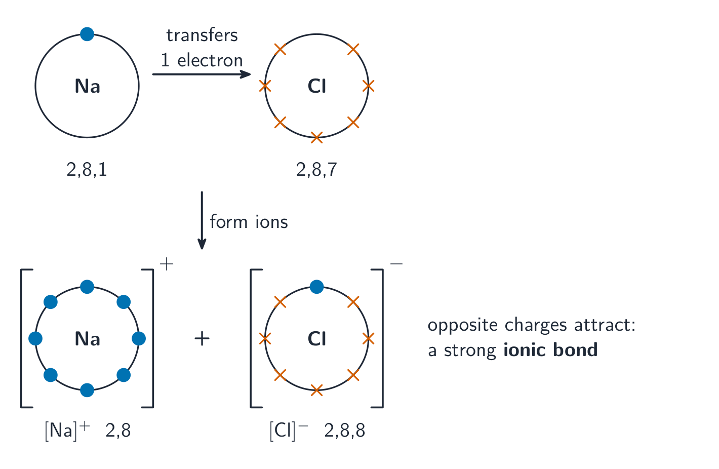 Sodium's single outer electron transfers to chlorine; sodium becomes Na+ (2,8) and chlorine becomes Cl- (2,8,8)