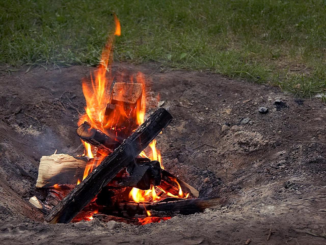 Burning wood is exothermic, releasing heat to the surroundings