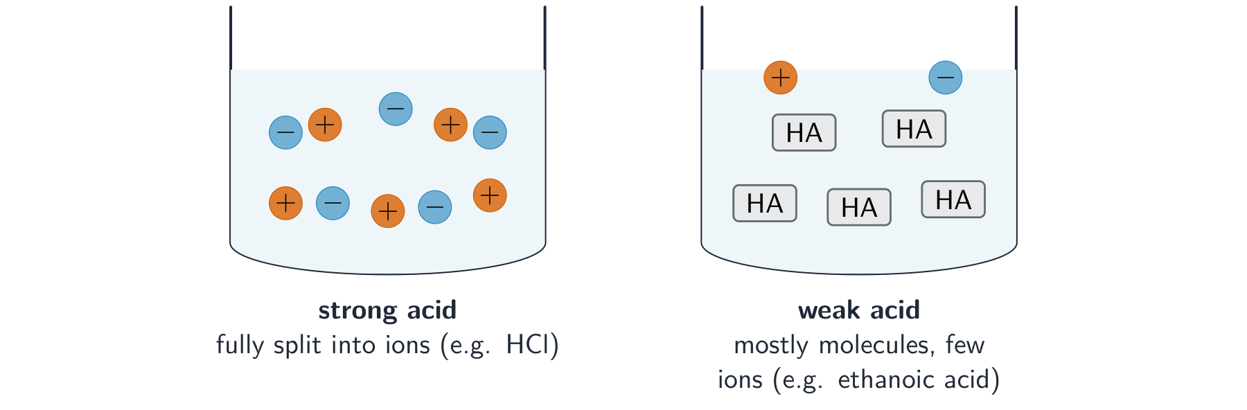 A strong acid is fully split into ions; a weak acid stays mostly as molecules