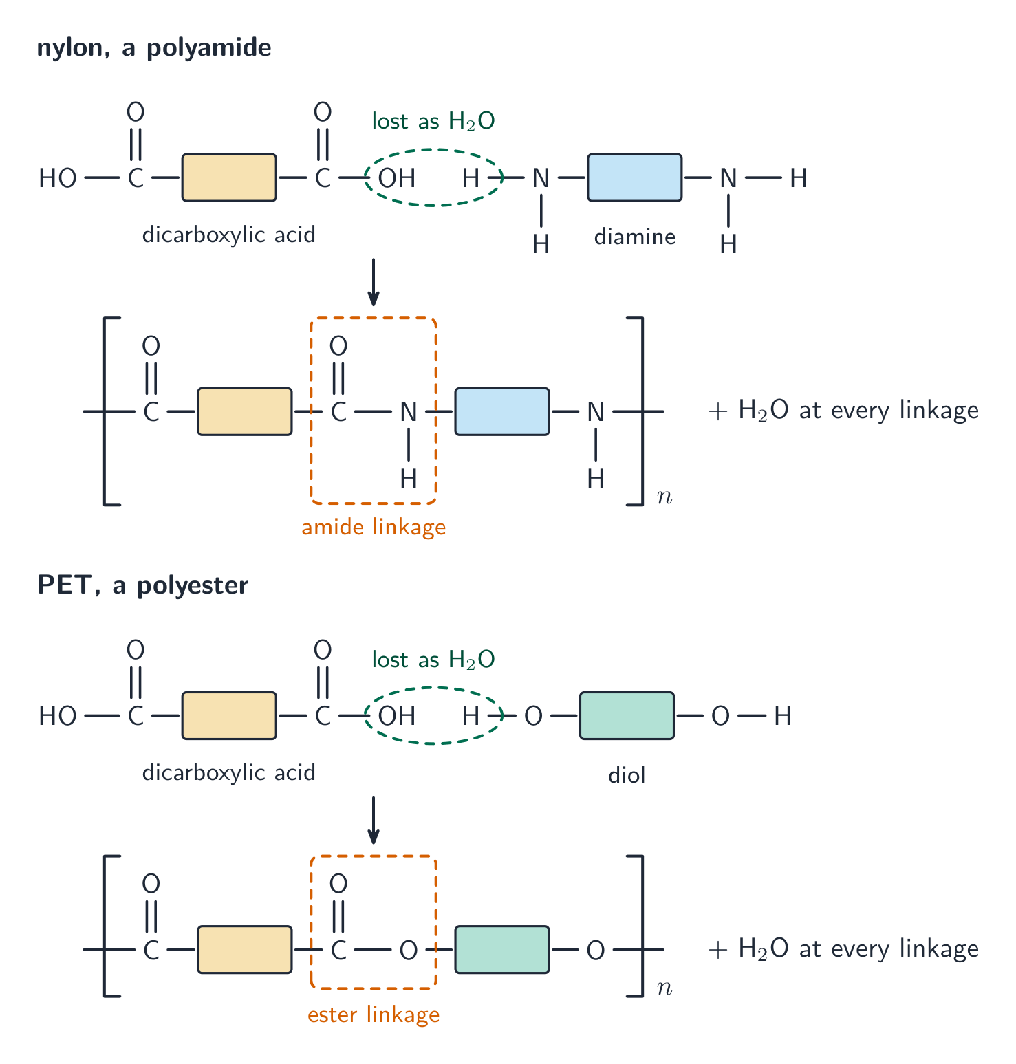 Block diagrams of condensation polymerisation. For nylon, a dicarboxylic acid (HO-C(=O)-box-C(=O)-OH) and a diamine (H-N(H)-box-N(H)-H) join: the OH from the acid and an H from the amine are lost as water, and the repeat unit in brackets contains an amide linkage, C(=O)-N(H). For PET, a dicarboxylic acid and a diol (H-O-box-O-H) join the same way and the repeat unit contains an ester linkage, C(=O)-O. Each box keeps its monomer's colour in the polymer
