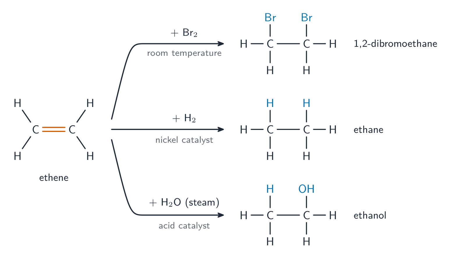 Ethene, with its C=C, reacts three ways. With bromine at room temperature it gives 1,2-dibromoethane, a Br on each carbon. With hydrogen and a nickel catalyst it gives ethane, an extra H on each carbon. With steam and an acid catalyst it gives ethanol, an H on one carbon and an OH on the other. In each product the two carbons are joined by a single bond