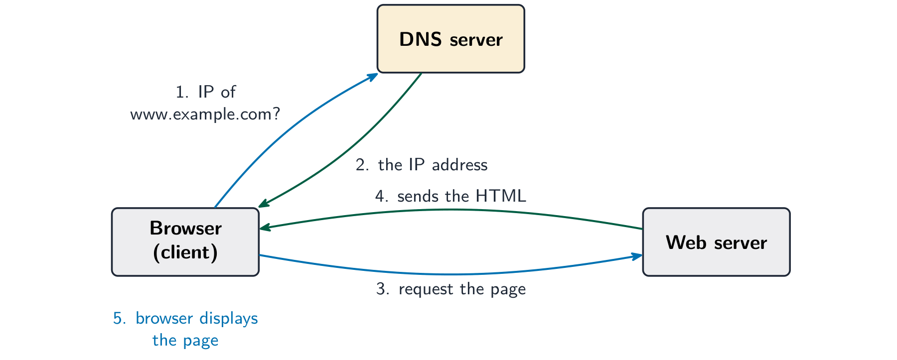 The browser asks a DNS for the site's IP address, then requests the page from the web server, which returns the HTML.