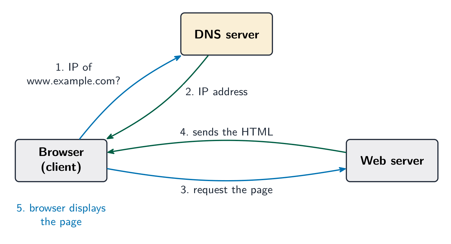 The browser asking a DNS server for an IP address, then requesting the page from the web server and receiving the HTML back