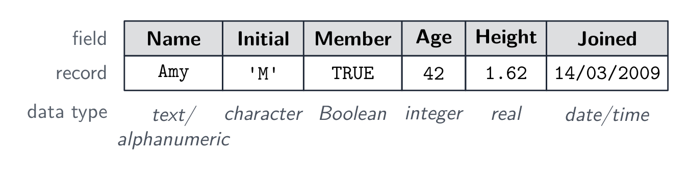 One record with a field of each data type: Name "Amy" (text/alphanumeric), Initial 'M' (character), Member TRUE (Boolean), Age 42 (integer), Height 1.62 (real), Joined 14/03/2009 (date/time)