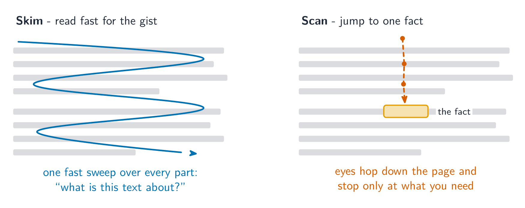 Skim sweeps over everything for the gist; scan jumps straight to one fact
