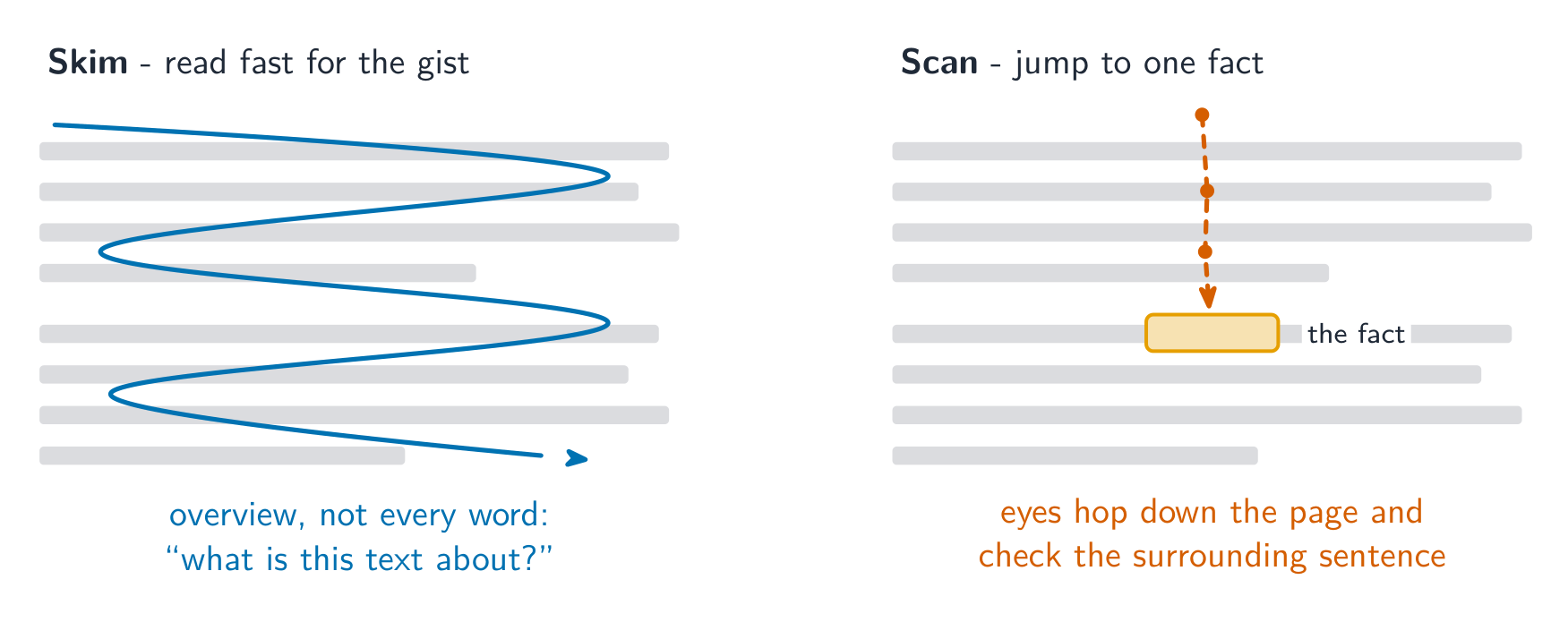 Skim sweeps over everything for the gist; scan jumps straight to one fact