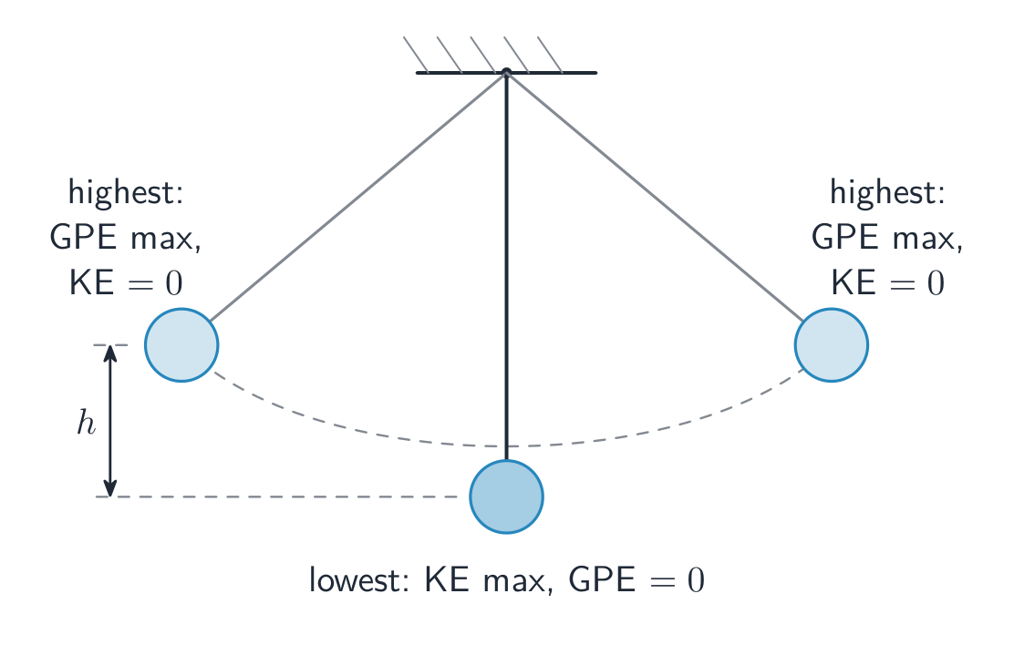 A pendulum shown at its two highest points and its lowest point, with the swing height marked