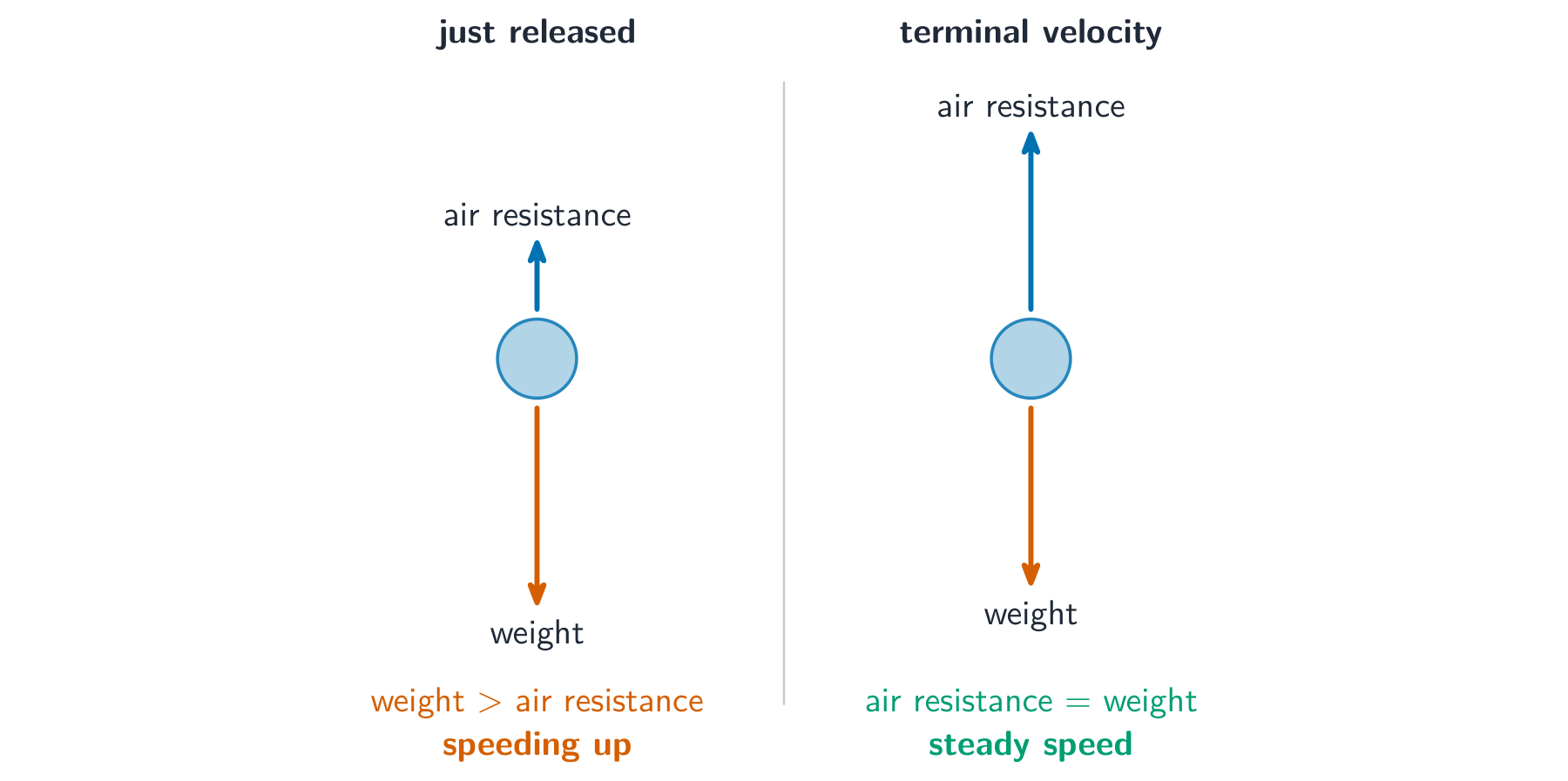 A falling object with weight and air resistance arrows, shown just after release and at terminal velocity