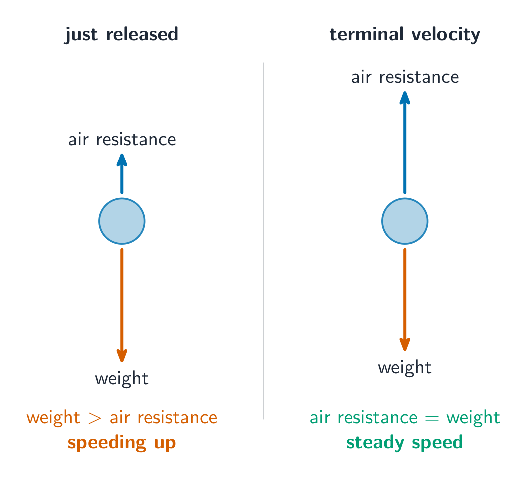 A falling object speeds up until air resistance grows to equal its weight