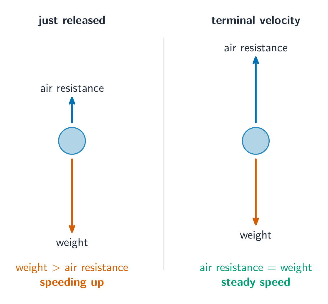 A falling object with weight and air resistance arrows, shown just after release and at terminal velocity