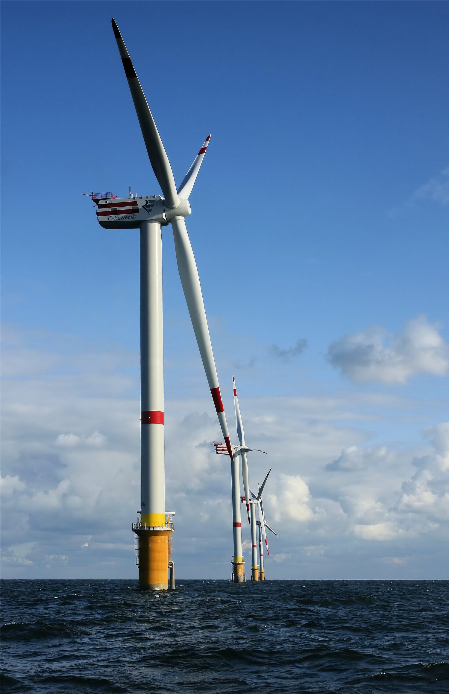 Wind turbines transfer energy from moving air to electricity
