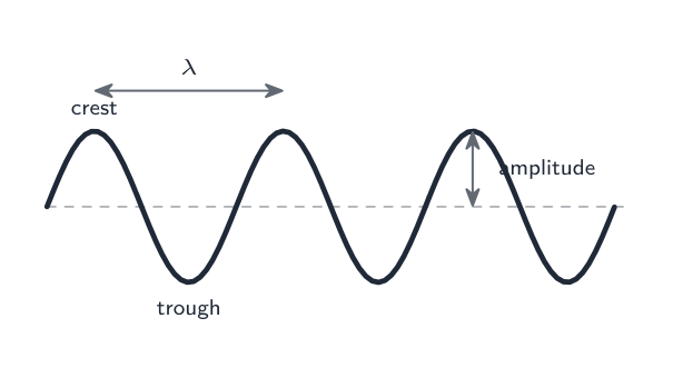 The parts of a wave: wavelength, amplitude, crest and trough