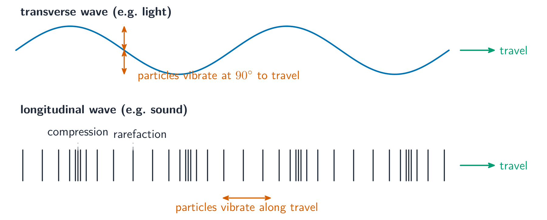 A transverse wave above a longitudinal wave, showing how the particles move in each