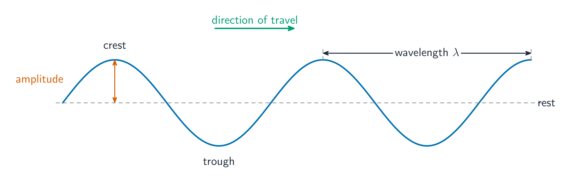 The parts of a transverse wave