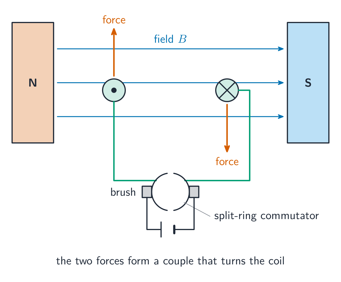 A coil between magnet poles with opposite forces on its two sides, a split-ring commutator, brushes and a battery