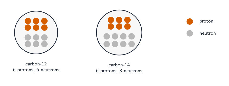 Two carbon nuclei: carbon-12 with six protons and six neutrons, carbon-14 with six protons and eight neutrons