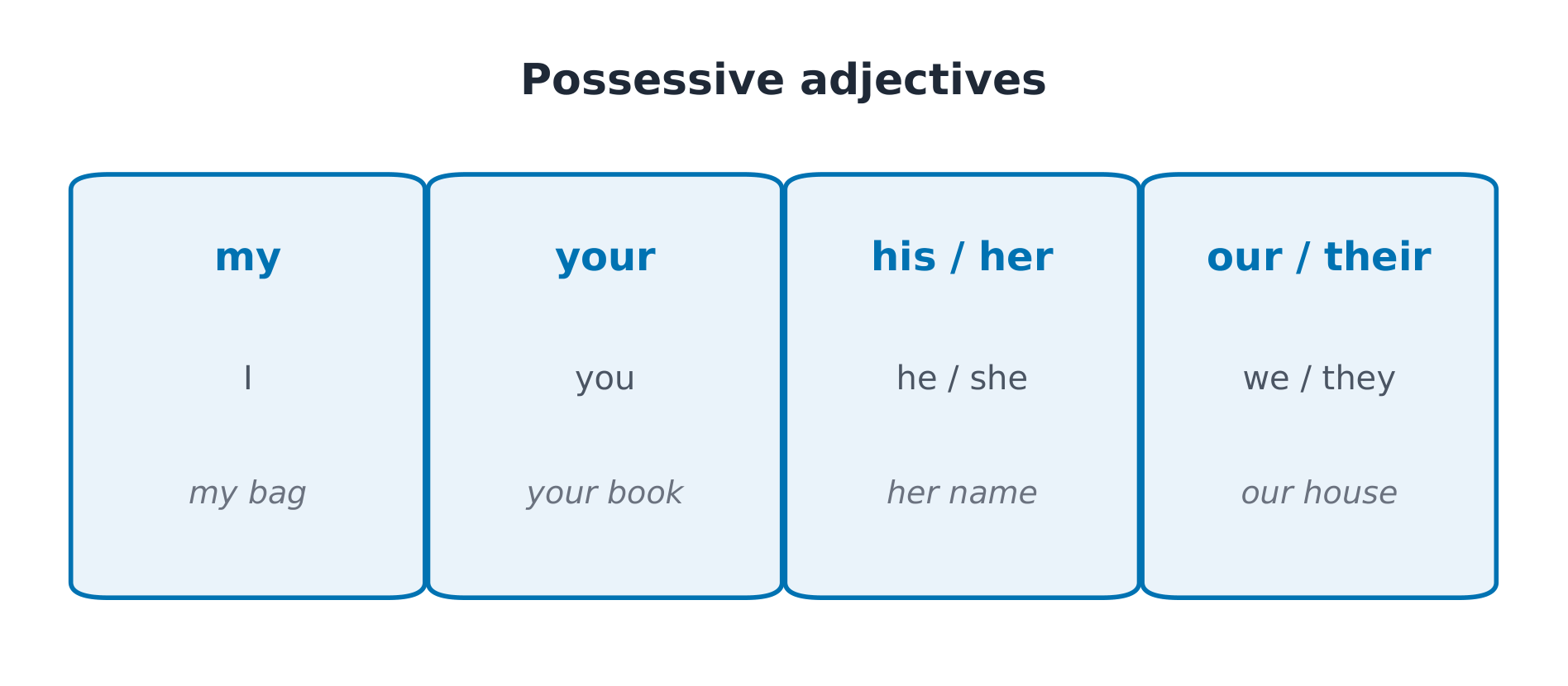 物主限定词:my / your / his / her