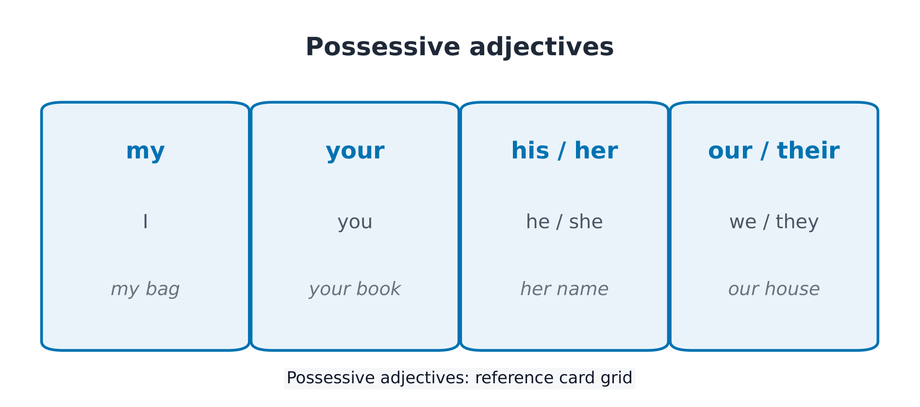 物主限定词:my / your / his / her