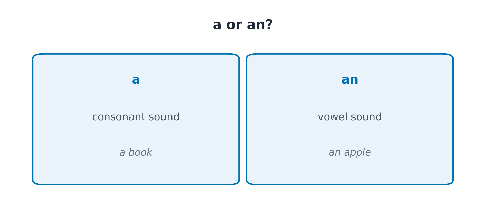 a / an:看读音(辅音 vs 元音)