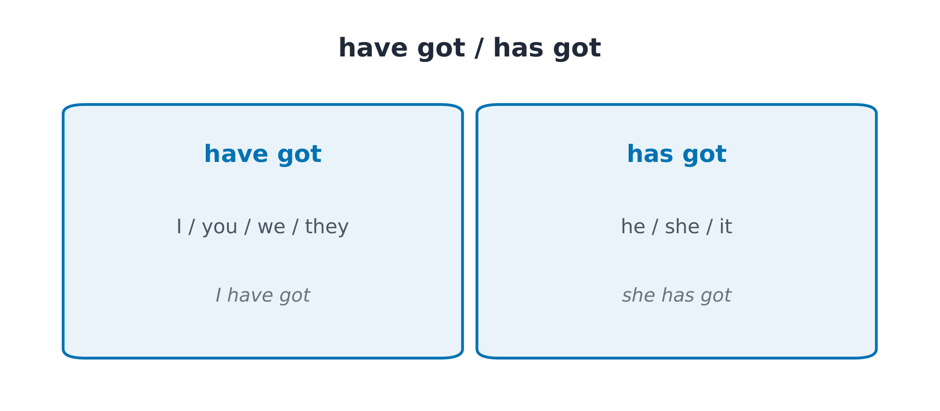 have got / has got