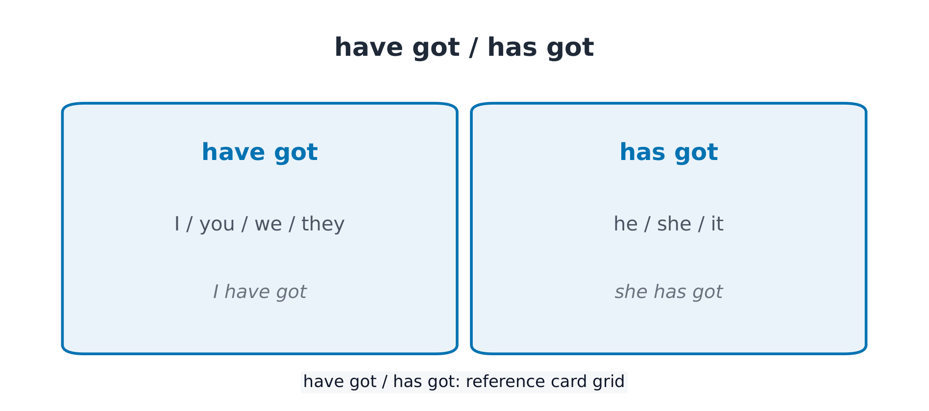 have got / has got