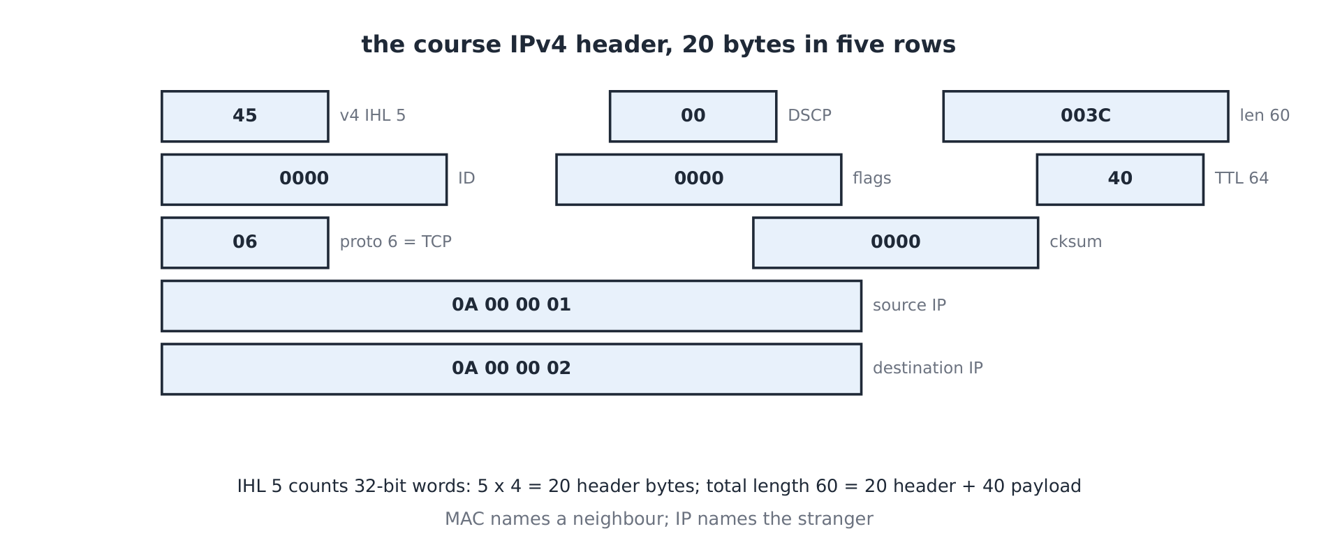 Packet header layout