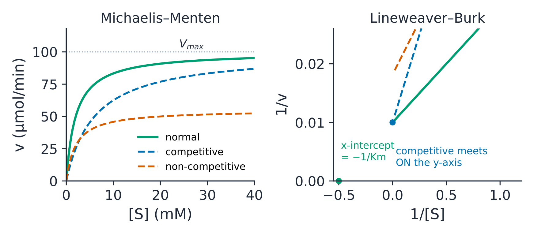 Michaelis–Menten curves for normal, competitive and non-competitive cases, with the double-reciprocal lines beside them