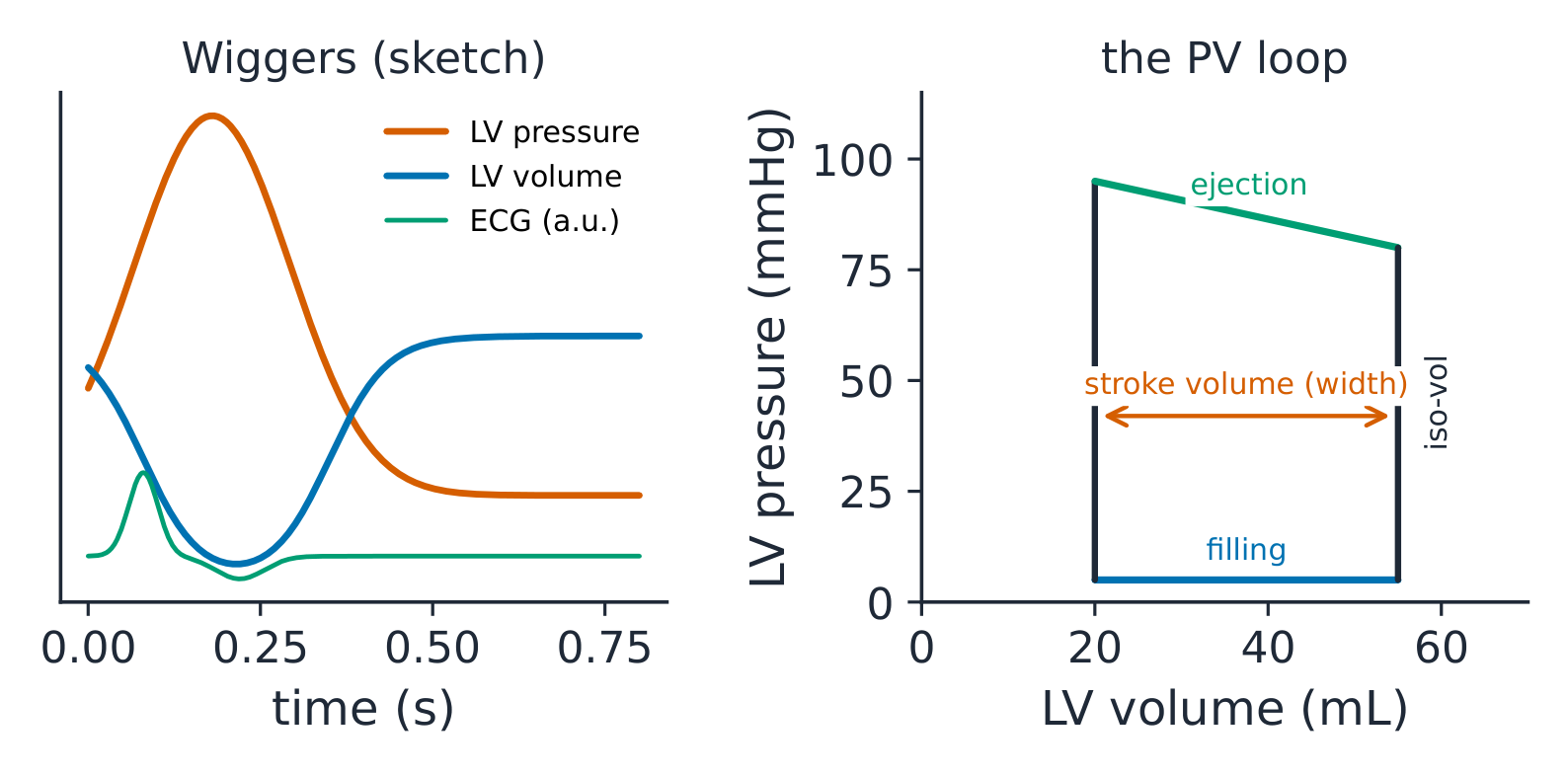 The Wiggers timeline beside the left-ventricular pressure-volume loop