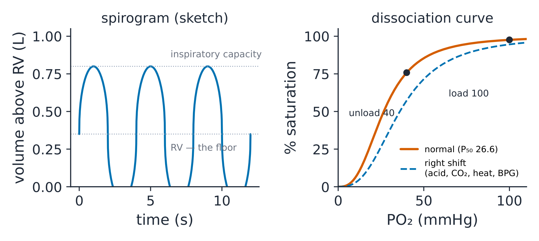 The spirogram beside the oxygen dissociation curve with its shifts