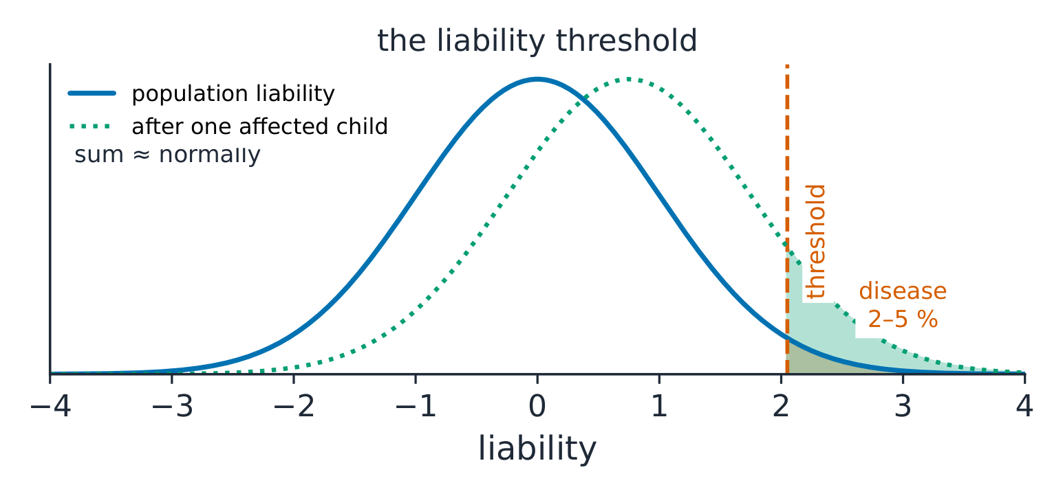 The liability distribution with its threshold
