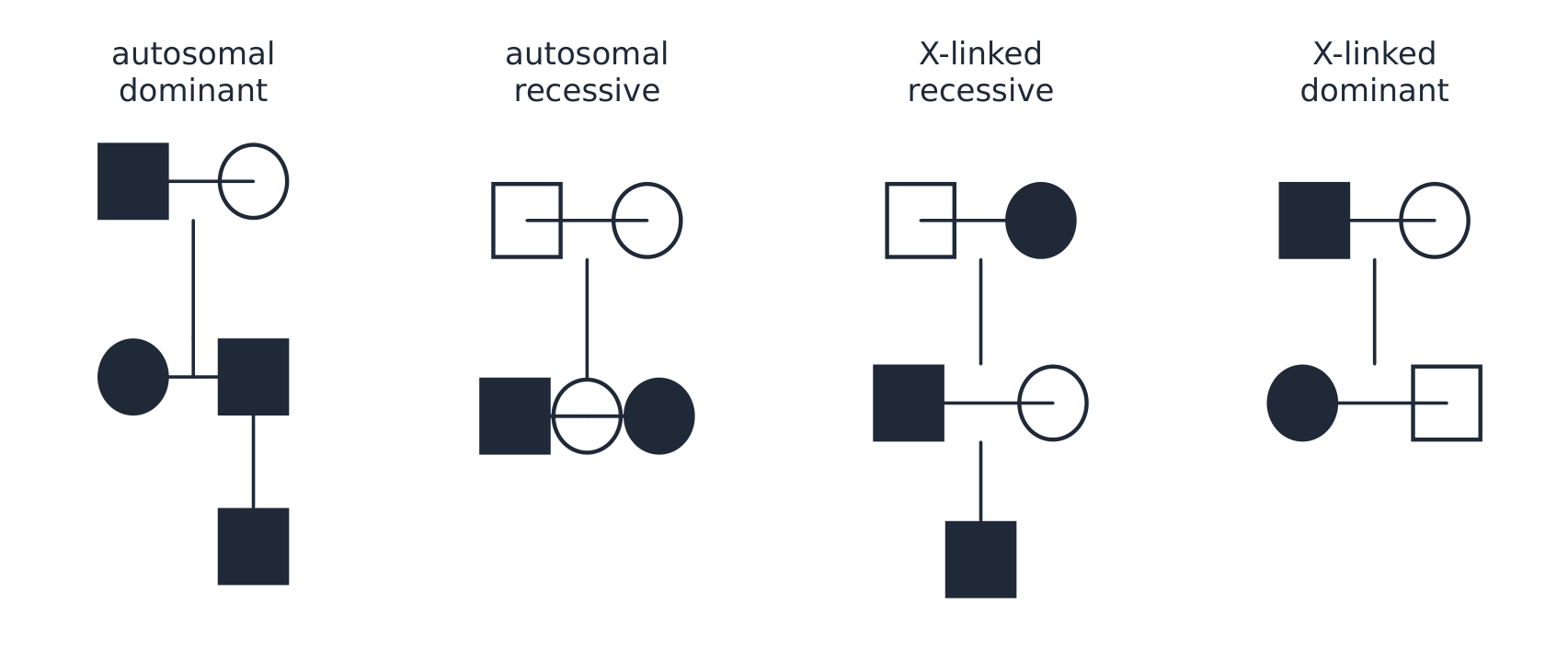 The four Mendelian pedigree patterns side by side