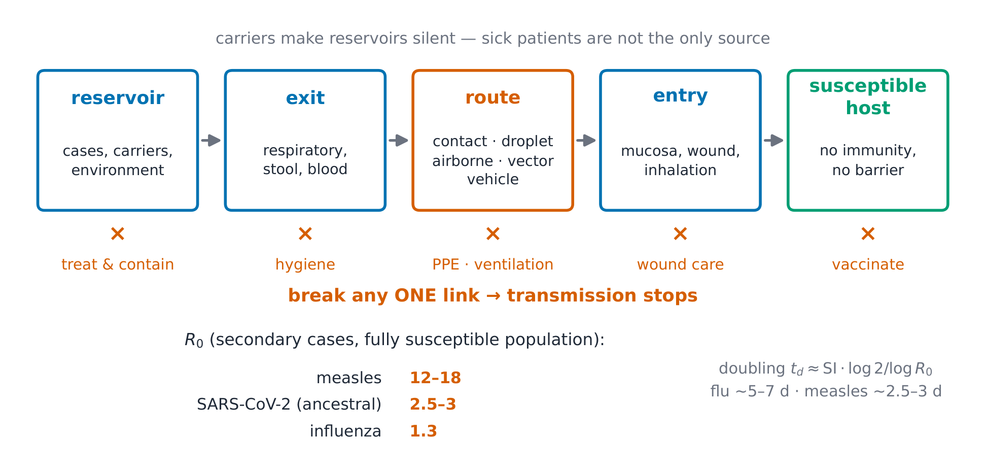 The chain of infection with its transmission routes