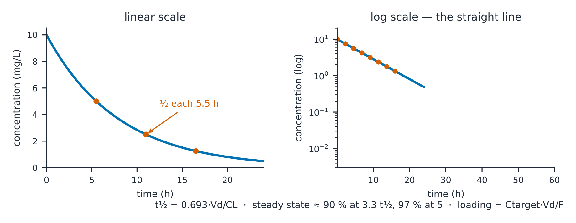 Concentration–time curves on linear and log axes