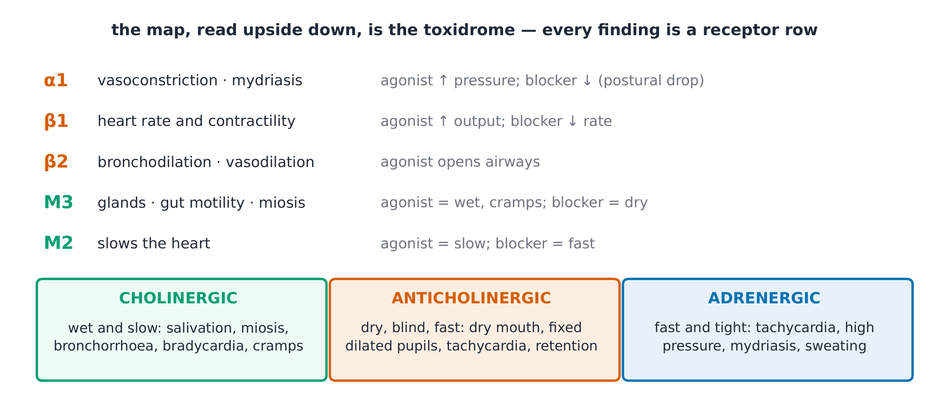 The receptor-to-effect map with agonists and blockers