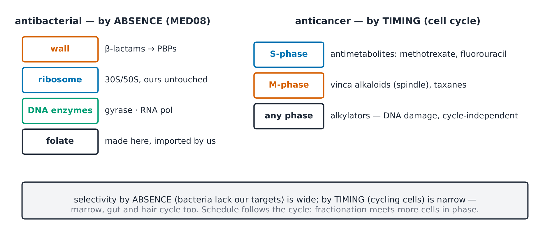 Drug-class target map for antimicrobials and anticancer agents